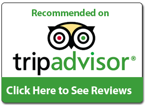 Trip Advisor Logo