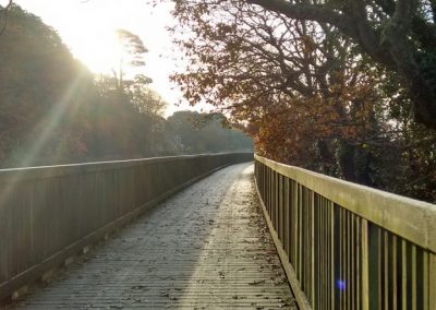 Exe Trail Boardwalk