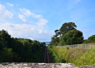 Avocet train line